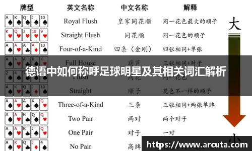 德语中如何称呼足球明星及其相关词汇解析